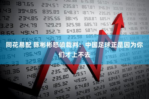 同花易配 陈彬彬怒喷裁判：中国足球正是因为你们才上不去