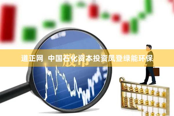 道正网  中国石化资本投资凤登绿能环保