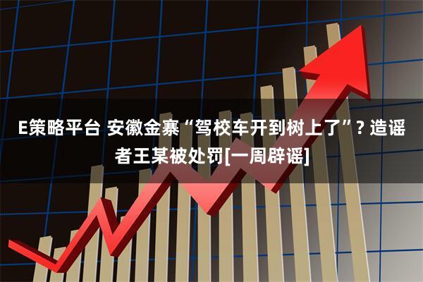 E策略平台 安徽金寨“驾校车开到树上了”? 造谣者王某被处罚[一周辟谣]