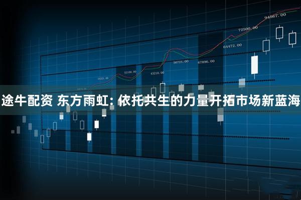 途牛配资 东方雨虹: 依托共生的力量开拓市场新蓝海