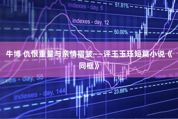 牛博 仇恨重量与亲情褶皱——评王玉珏短篇小说《同框》
