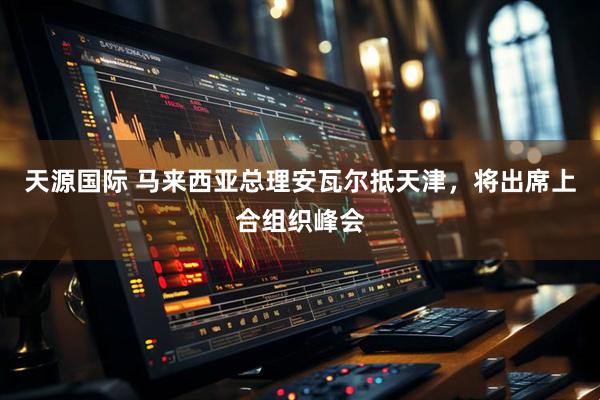 天源国际 马来西亚总理安瓦尔抵天津，将出席上合组织峰会