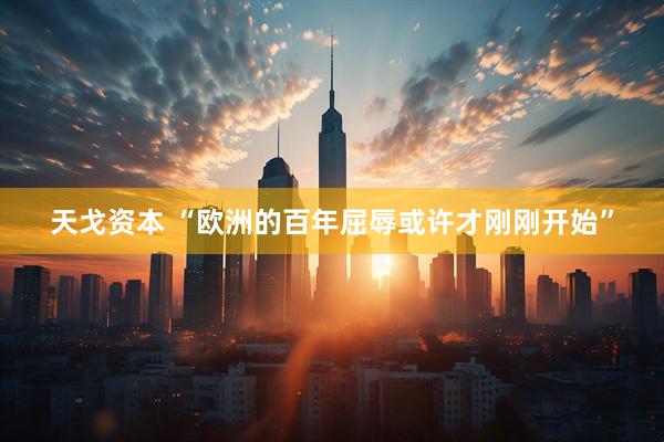 天戈资本 “欧洲的百年屈辱或许才刚刚开始”
